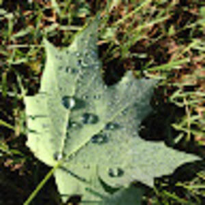 Meet your Posher, Marcie